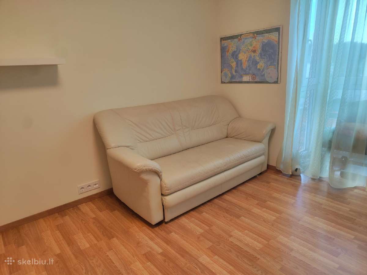 Etap Sofa Natūralios odos išskleidžiama sofa-lova - nuotraukos Nr. 4