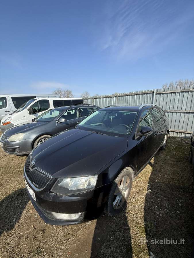 28. Skoda Octavia - nuotraukos Nr. 3
