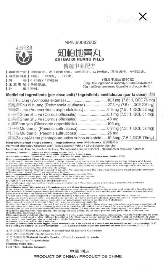 Zhi Bai Di Huang papildai 10vnt - nuotraukos Nr. 7