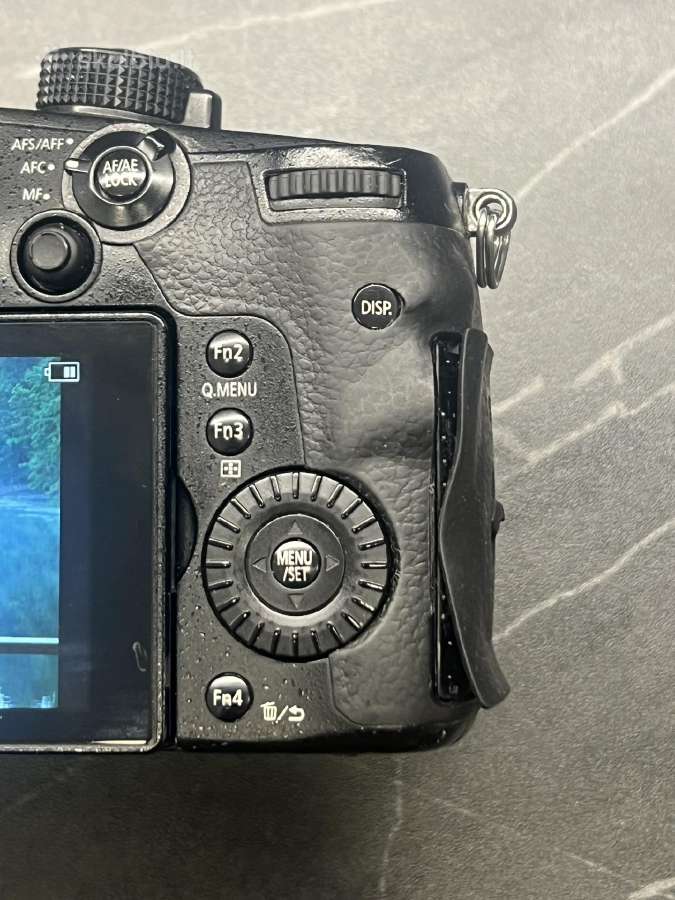 Panasonic Lumix Gh5 + Leica 12-60mm - nuotraukos Nr. 4