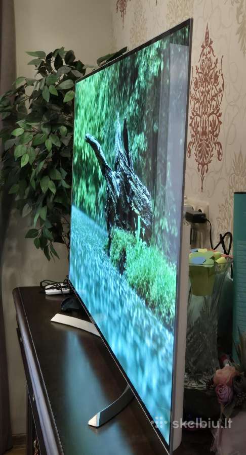 55" LG Oled Ultra HD - nuotraukos Nr. 4