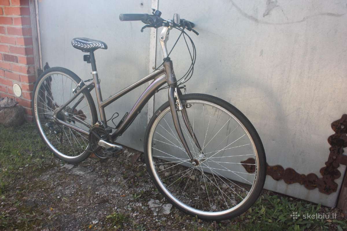 Raleigh Urban 28" - nuotraukos Nr. 2