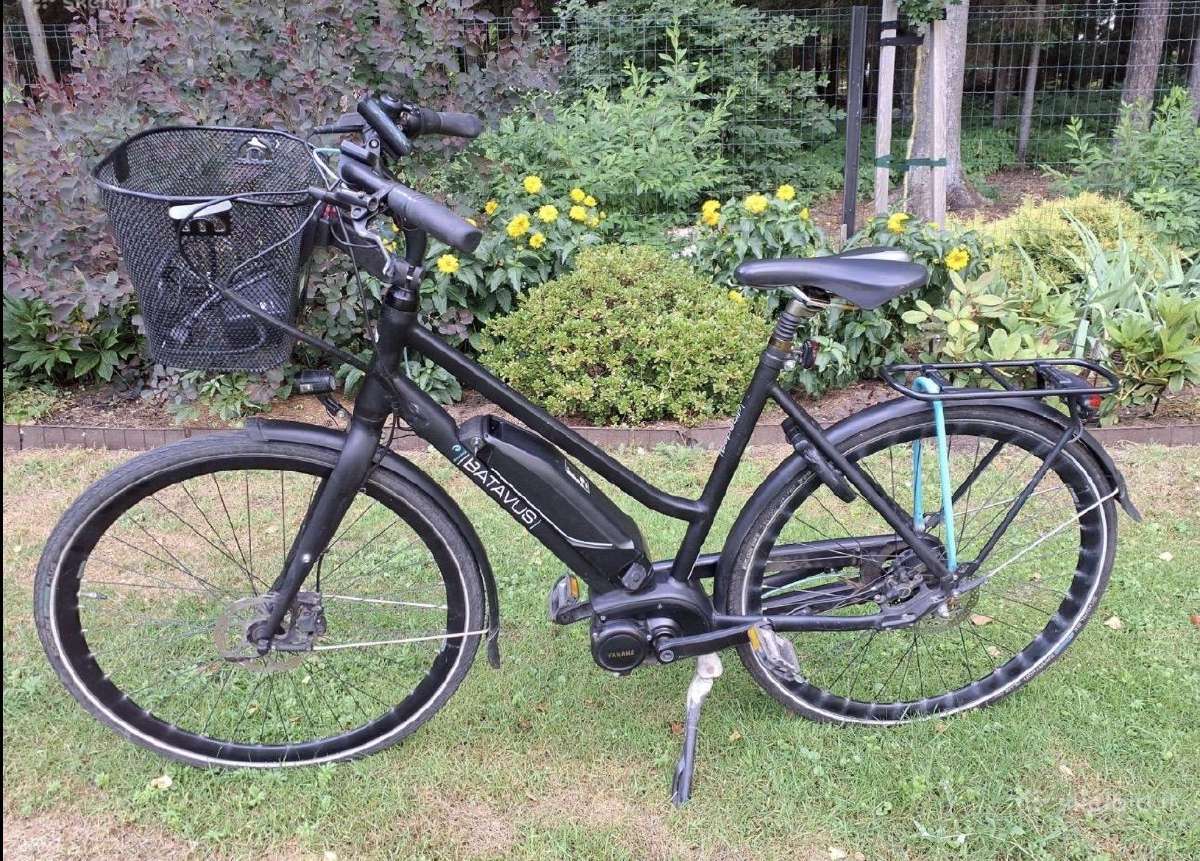 Batavus elektrinis dviratis variklis Yamaha - nuotraukos Nr. 2