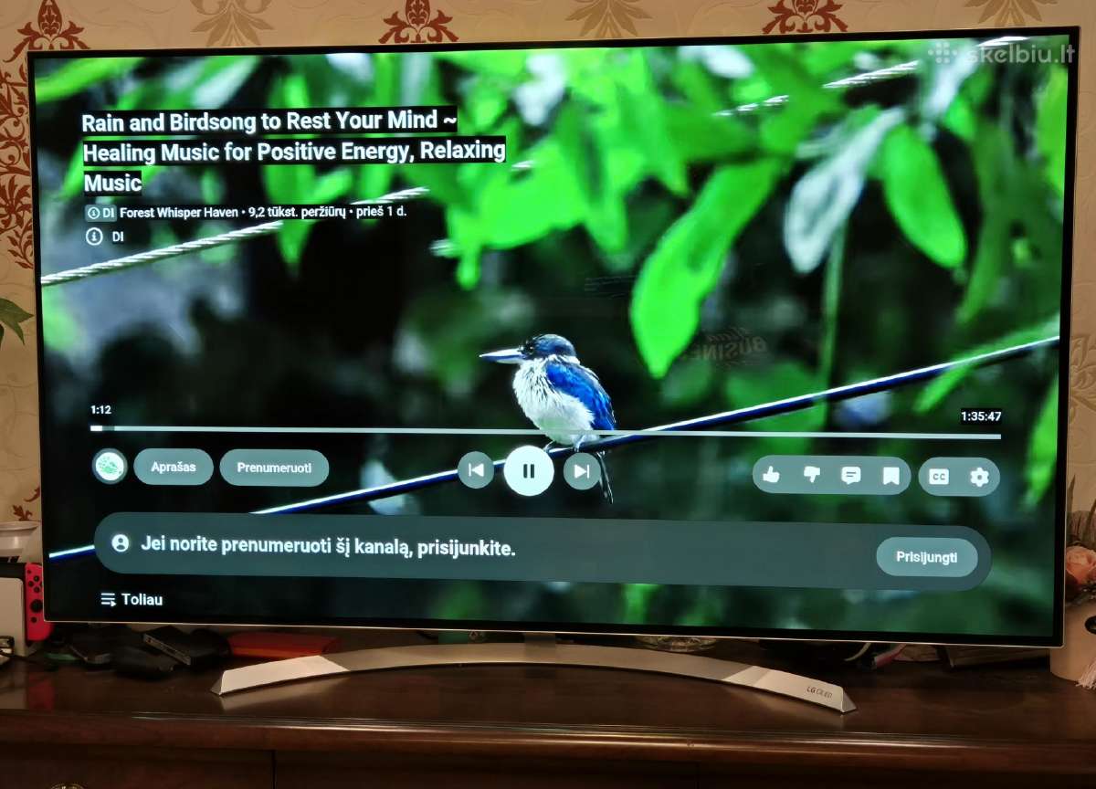 55" LG Oled Ultra HD - nuotraukos Nr. 9