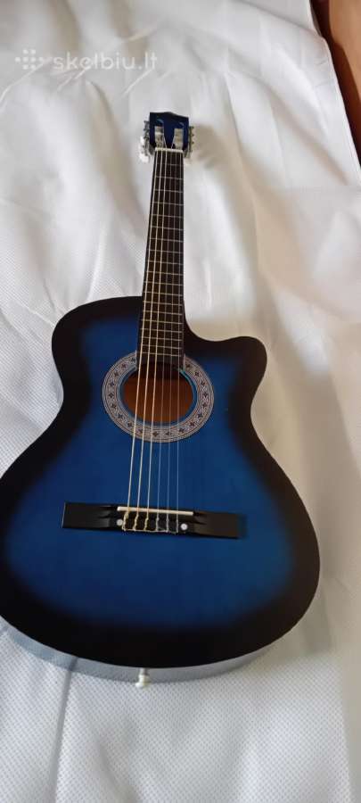 Gitara - nuotraukos Nr. 3