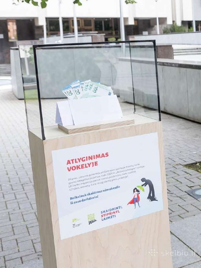 Vitrinos vienetinėms prekėms/eksponatams - nuotraukos Nr. 2