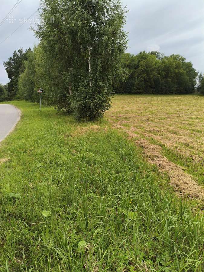 Nekilnojamas turtas - nuotraukos Nr. 3