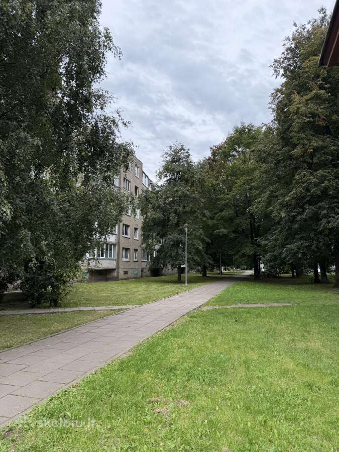 Parduodamas vieno kamb. butas Klaipėdoje - nuotraukos Nr. 12