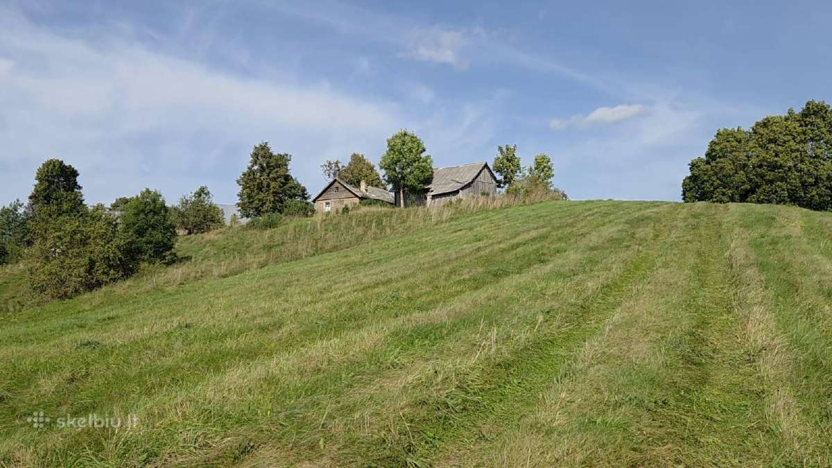 Sodyba ant kalvos su 58 m Lamėsto pakrante - nuotraukos Nr. 6