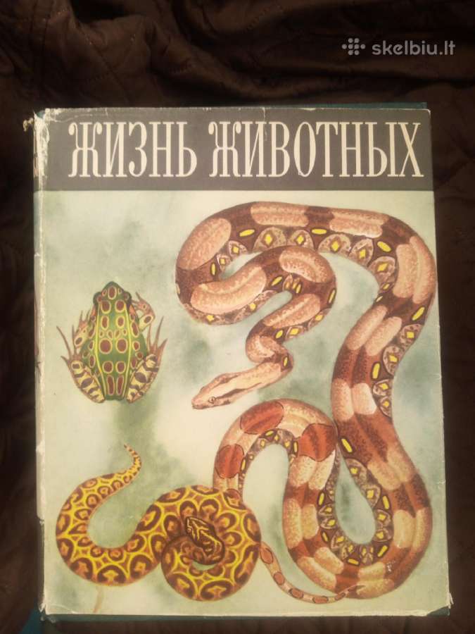 Enciklopedija "жизнь животных" (1968-1971) - nuotraukos Nr. 6