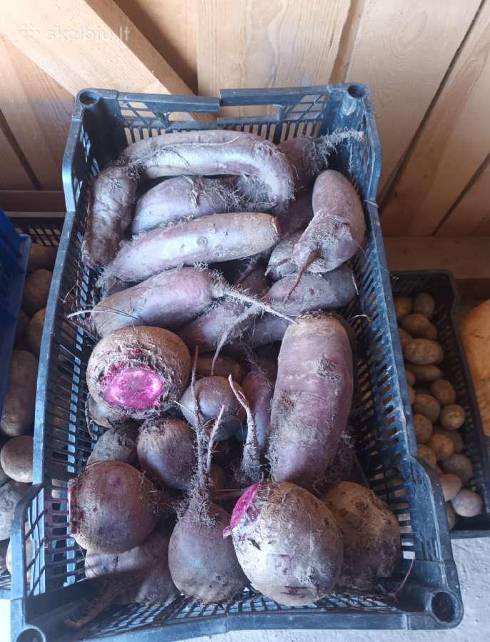 Kaimiškos bulvės ir kitos darzoves - nuotraukos Nr. 8