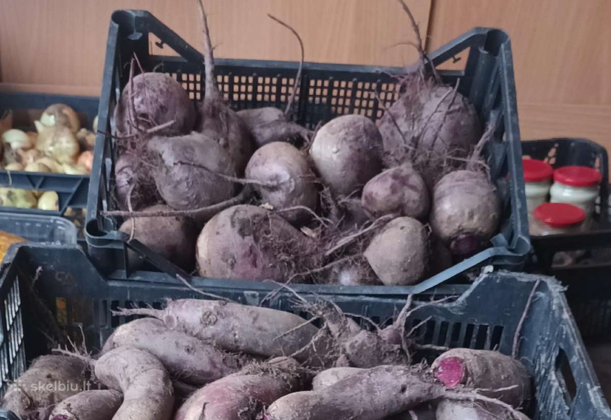 Kaimiškos bulvės ir kitos darzoves - nuotraukos Nr. 13