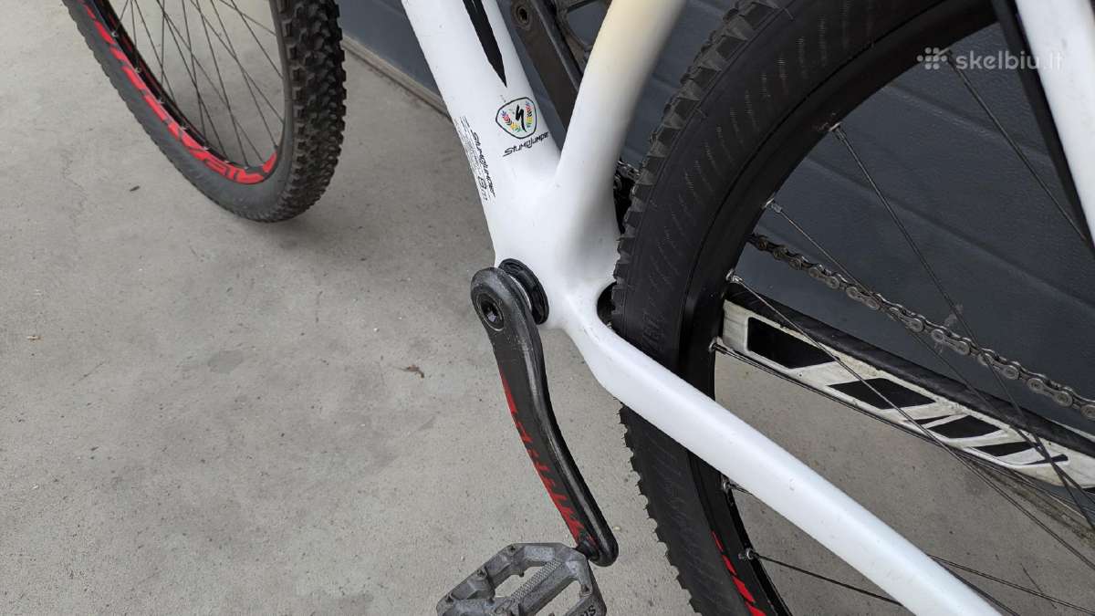 Specialized carbon - nuotraukos Nr. 29