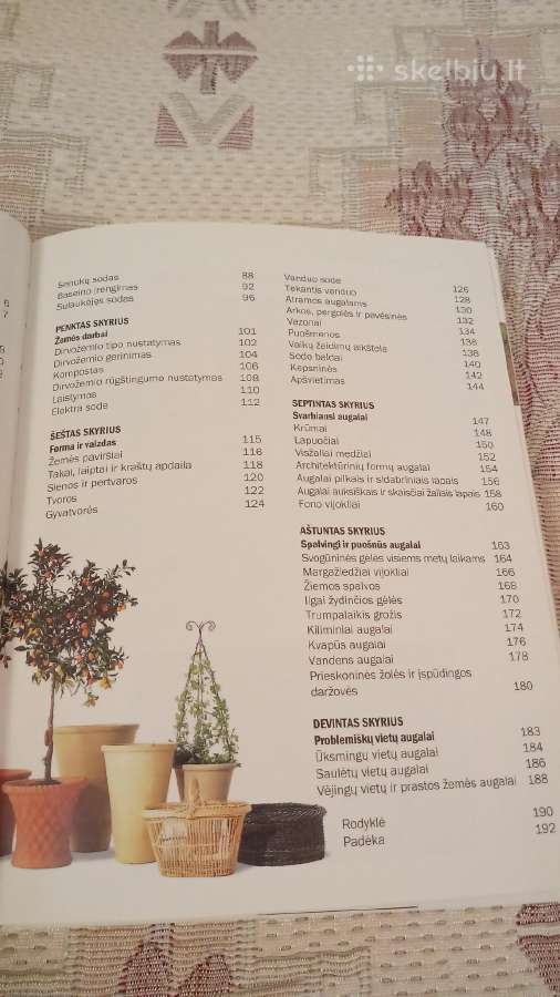 Kaip sukurti grąžų sodą - nuotraukos Nr. 4
