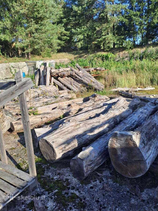 Ąžuolas Jūsų.skulptūrai - nuotraukos Nr. 2