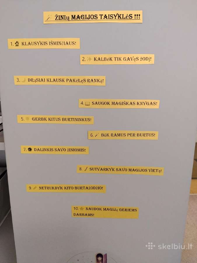Startuoja Nauja Korepetitoriaus Klasė! - nuotraukos Nr. 3