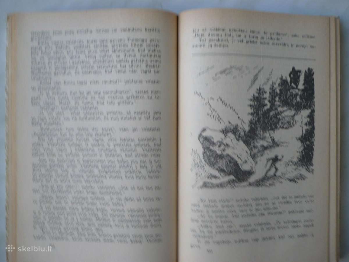 Selma Lagerlef - Stebuklingosios Nilso kelionės - nuotraukos Nr. 2