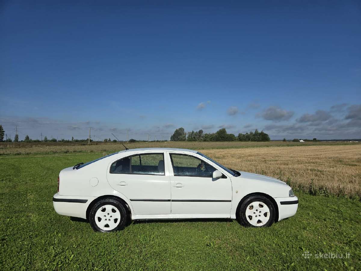 Skoda Octavia Tour 1.9l hečbekas - nuotraukos Nr. 2