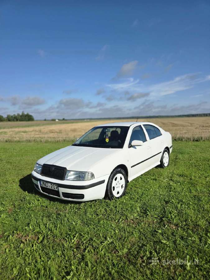 Skoda Octavia Tour 1.9l hečbekas - nuotraukos Nr. 5