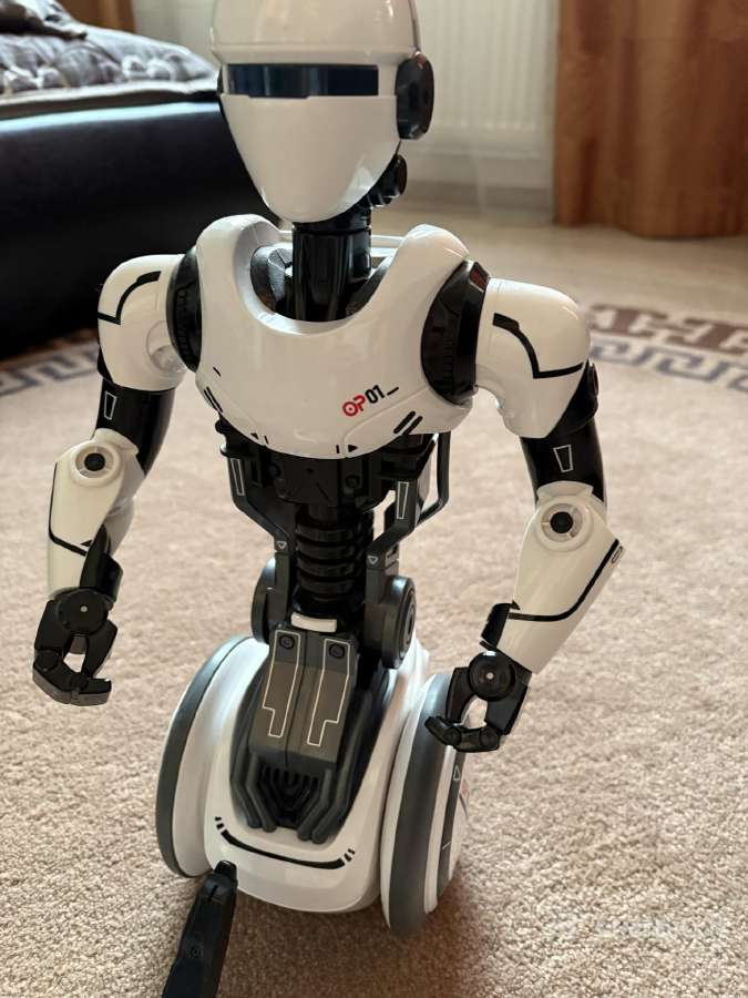 Humanoidinis robotas - nuotraukos Nr. 5