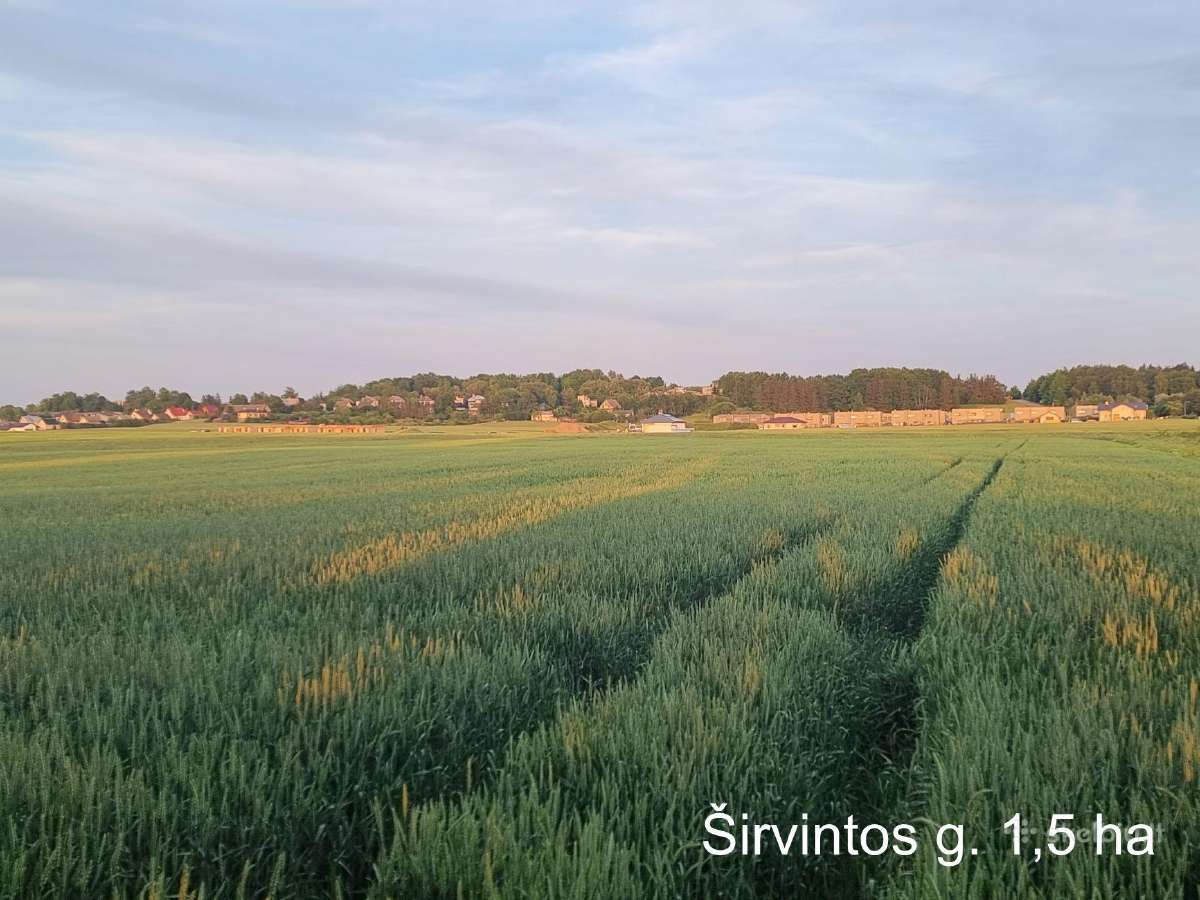 Domeikavoje. Graži vieta įvairiai veiklai. 1,2 ha - nuotraukos Nr. 15