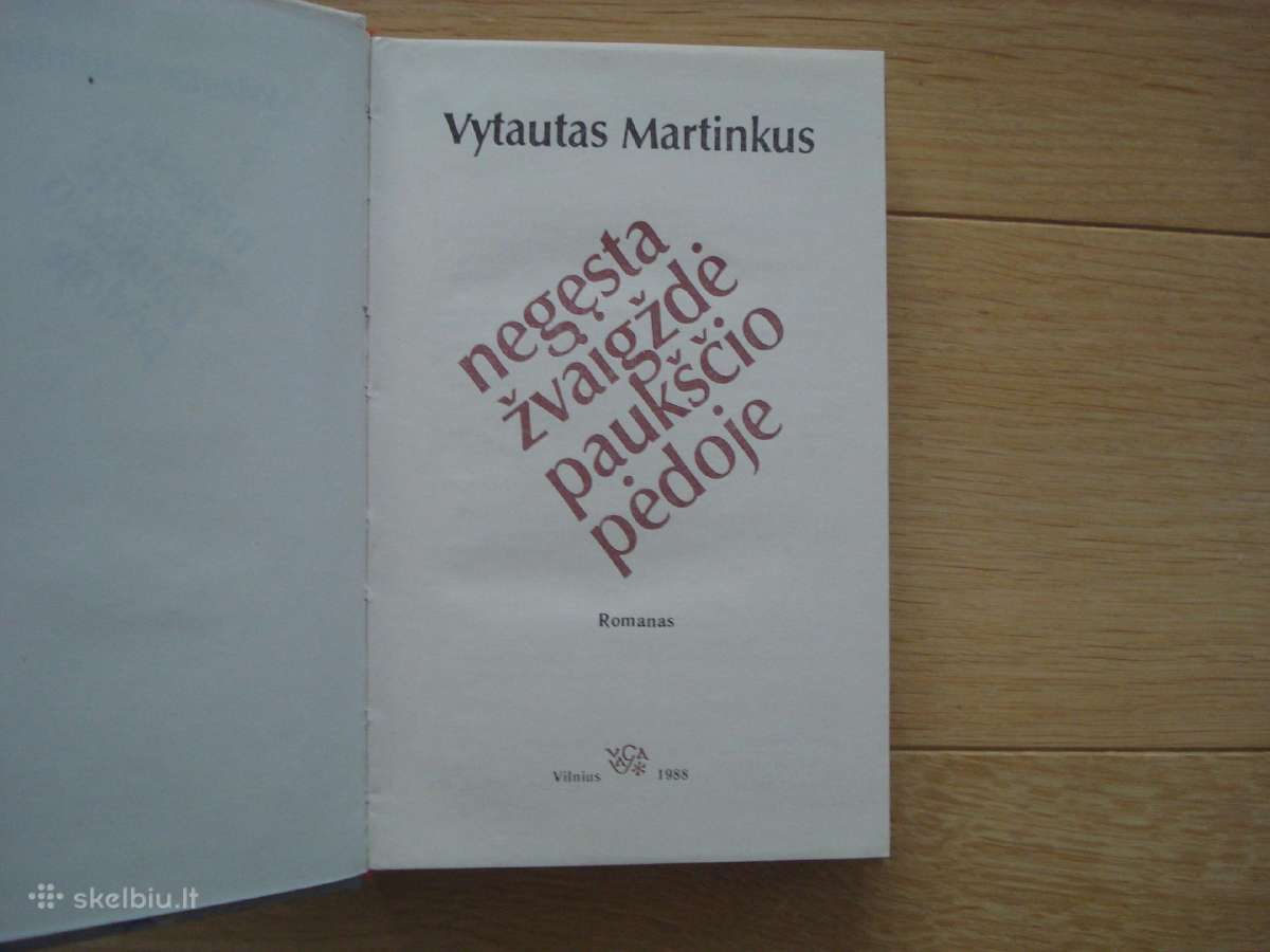 V. Martinkus "Negęsta žvaigždė paukščio pėdoje" - nuotraukos Nr. 2