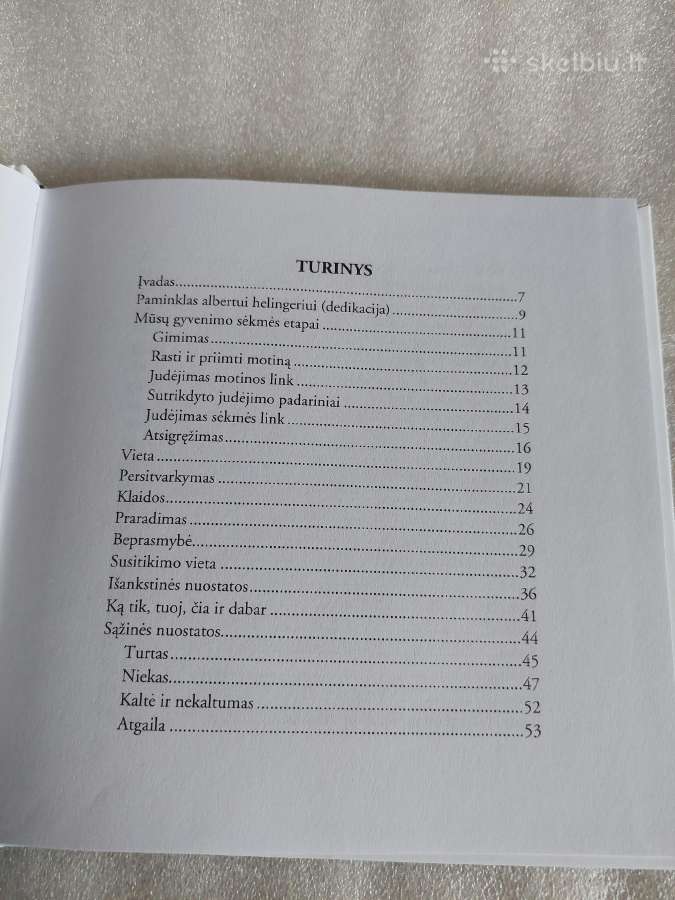 Sėkmė gyvenime, sėkmė darbe - nuotraukos Nr. 3