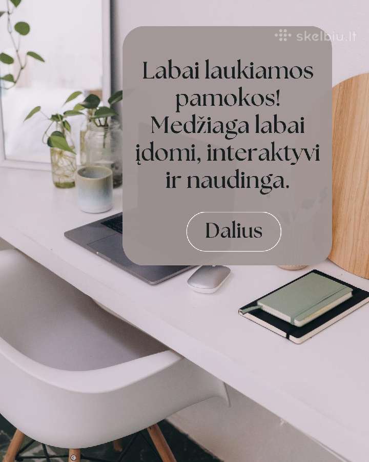 Nuotolinės anglų kalbos pamokos su Evelina - nuotraukos Nr. 8