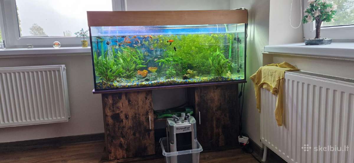 Parduodu 240 litrų akvariumą - nuotraukos Nr. 2