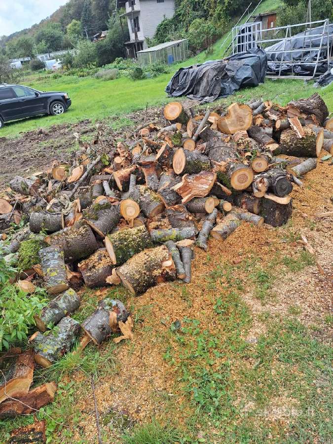 Malkos iš vaismedžių tinkamos naudoti rūkyklai - nuotraukos Nr. 7
