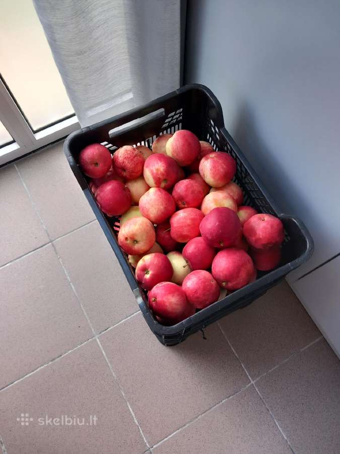 Obuoliai sultims spausti - nuotraukos Nr. 2