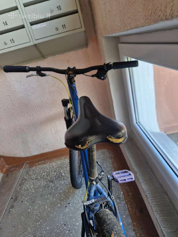 Dviratis - nuotraukos Nr. 3