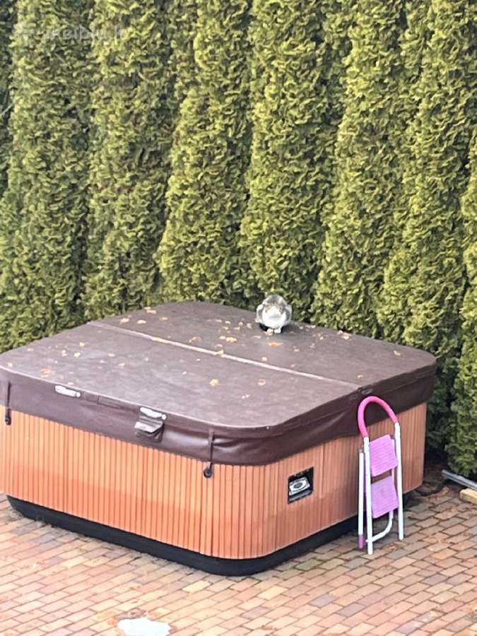 Masažinė vonia Jacuzzi, JAV gamybos. - nuotraukos Nr. 15