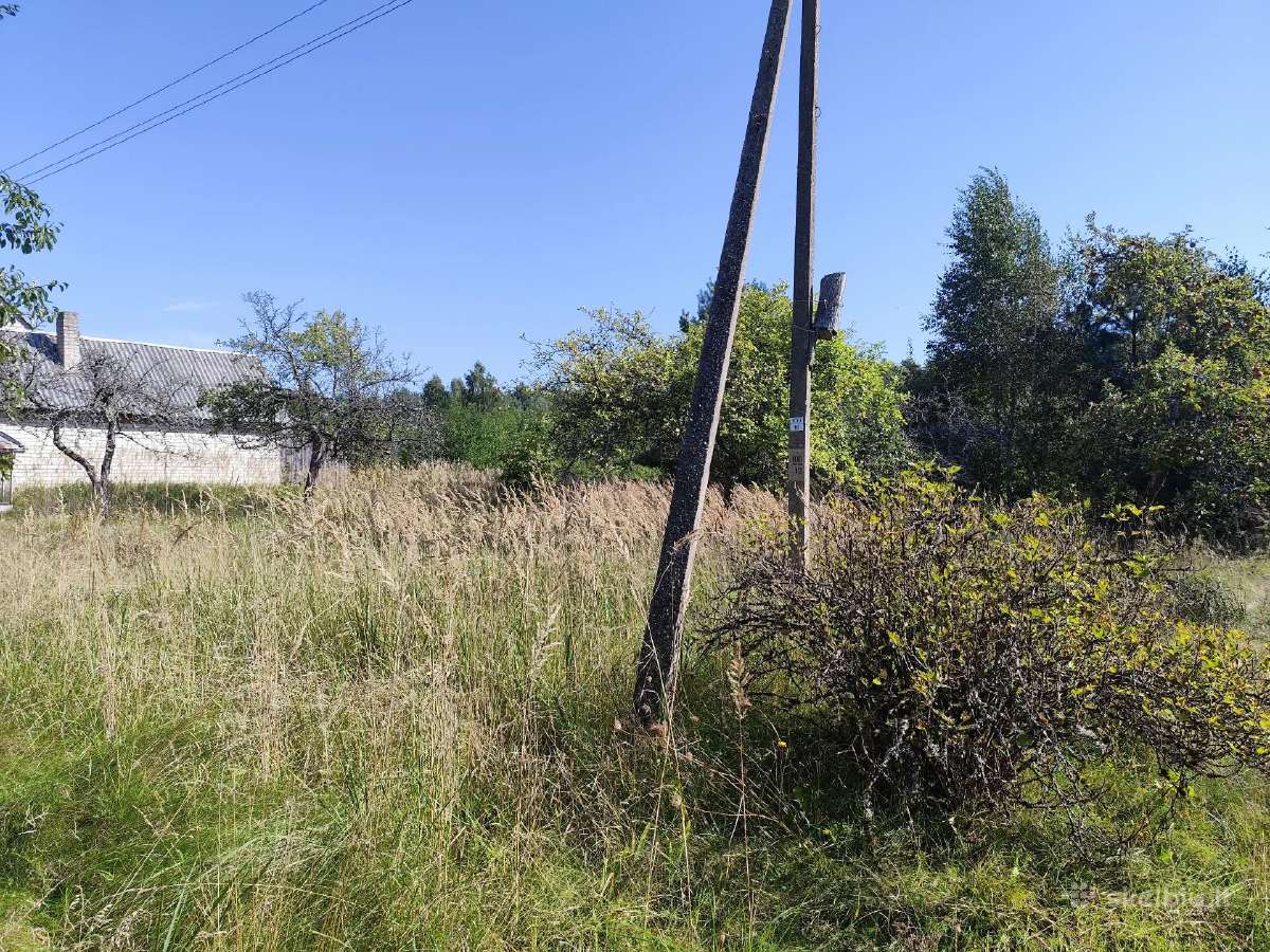 18 a. sklypas Daubėnuose su namu, gera vieta - nuotraukos Nr. 5