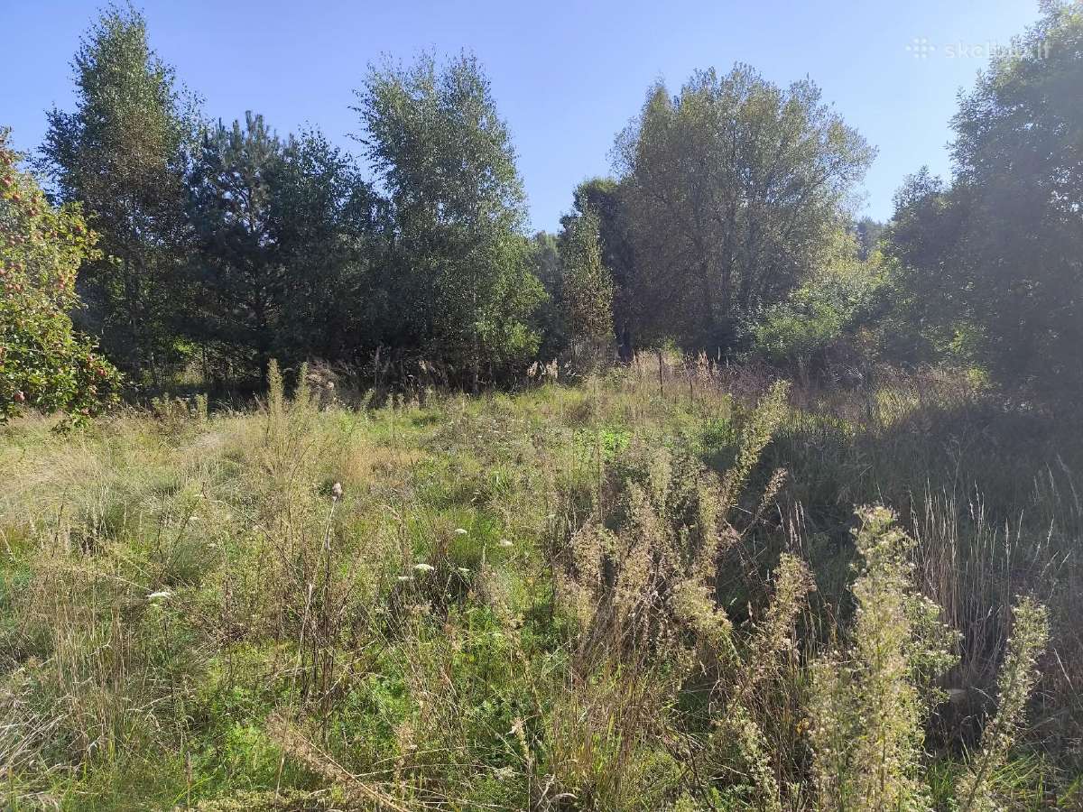 18 a. sklypas Daubėnuose su namu, gera vieta - nuotraukos Nr. 11