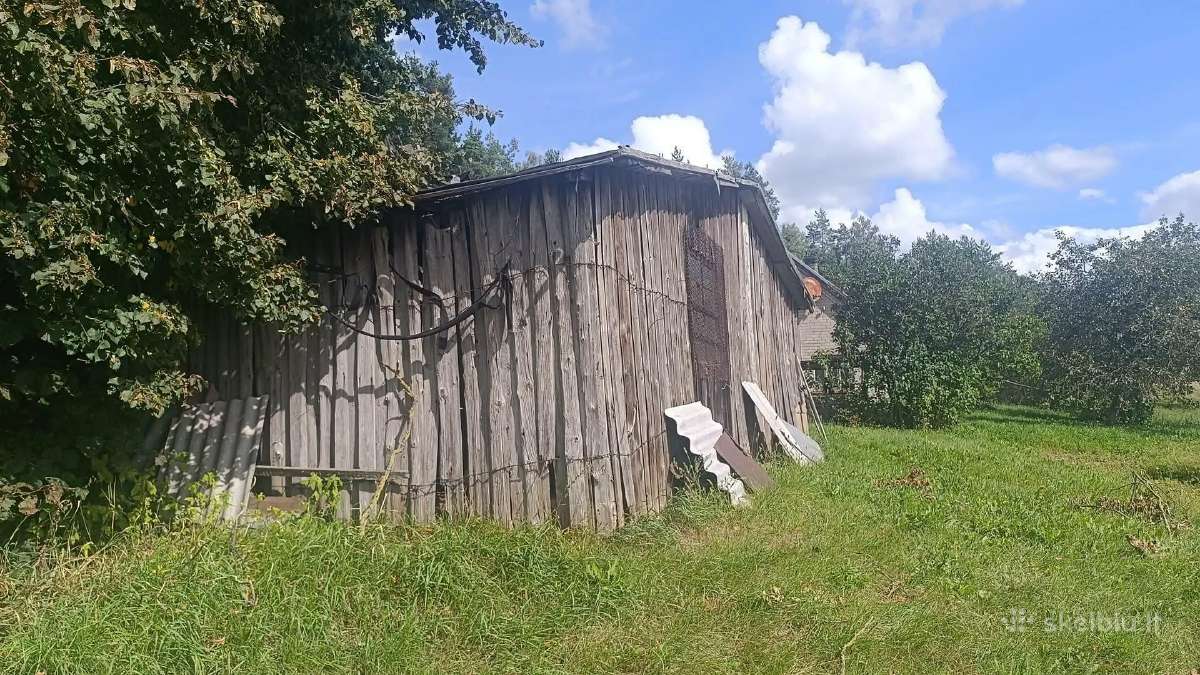 Atiduodame medieną - nuotraukos Nr. 4
