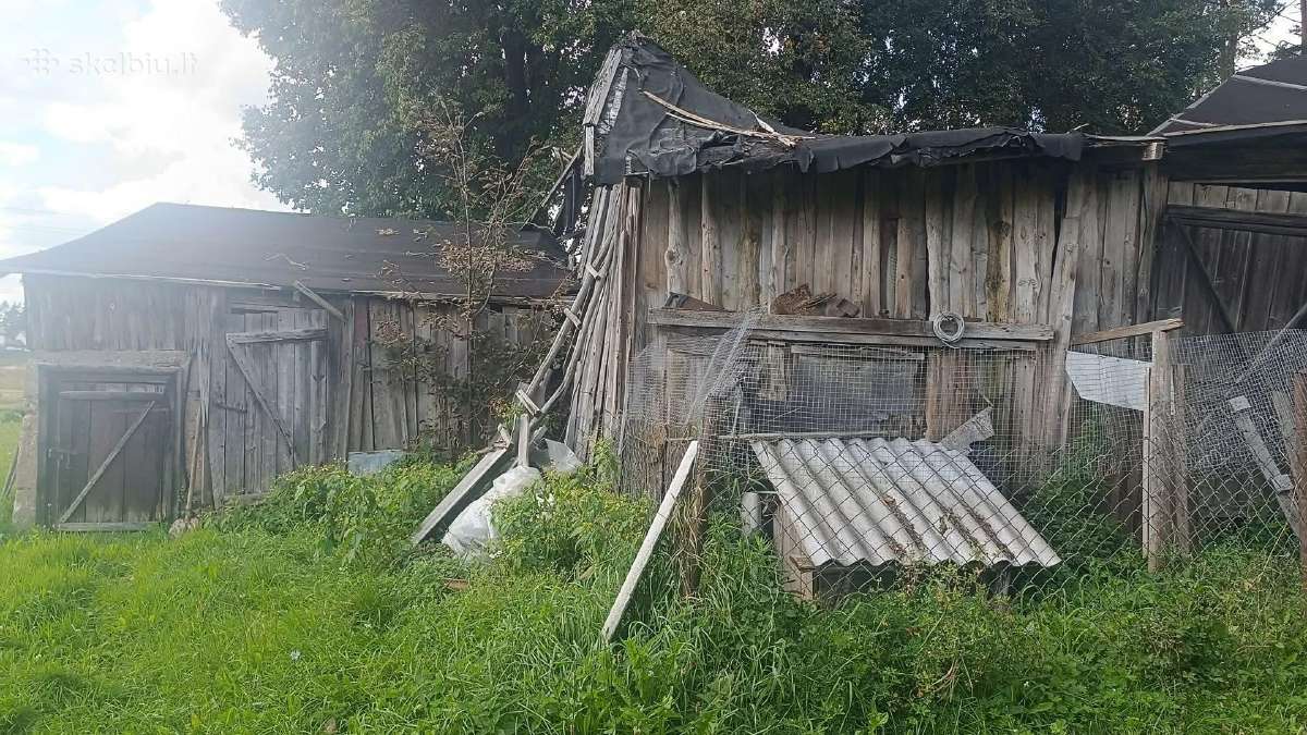 Atiduodame medieną - nuotraukos Nr. 6