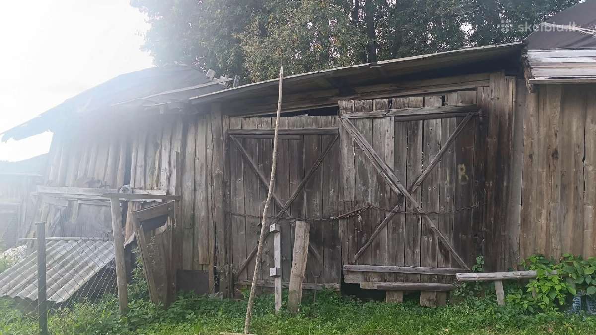 Atiduodame medieną - nuotraukos Nr. 7