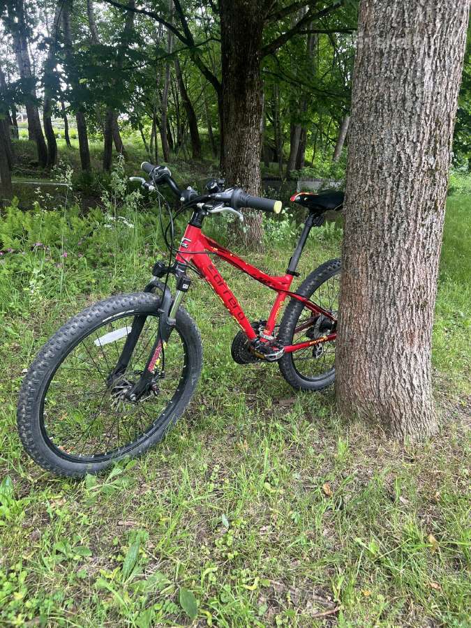 Carrera junior blast 24 inch - nuotraukos Nr. 2
