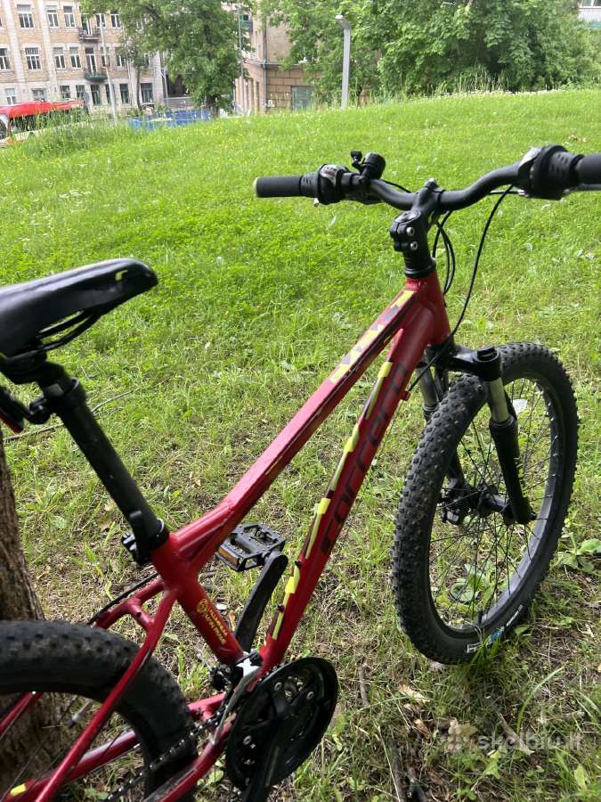 Carrera junior blast 24 inch - nuotraukos Nr. 4