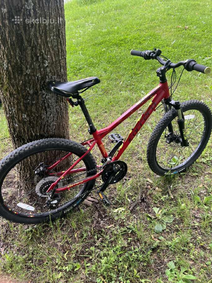Carrera junior blast 24 inch - nuotraukos Nr. 5