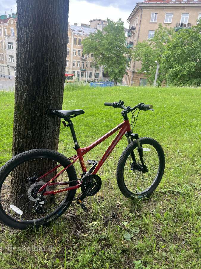 Carrera junior blast 24 inch - nuotraukos Nr. 8