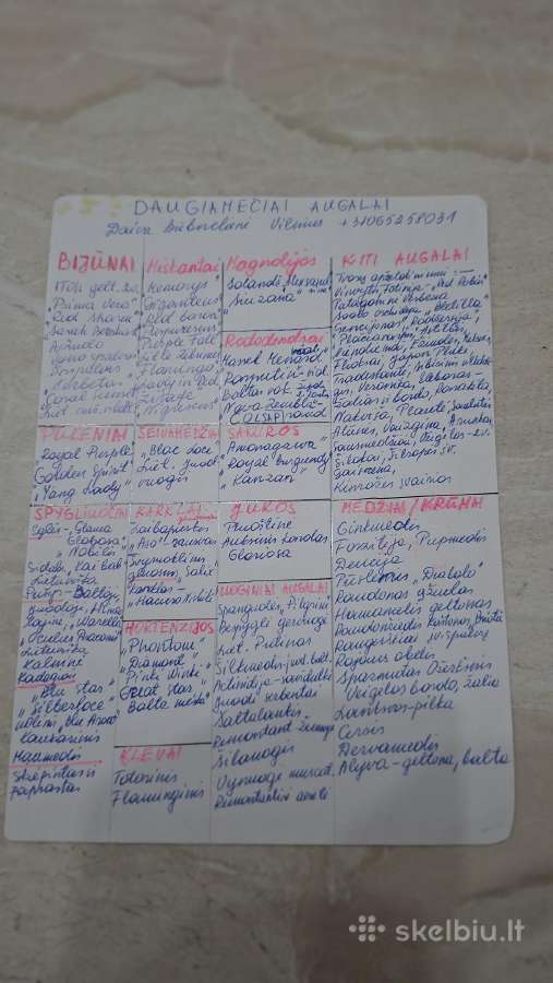Pluoštine Juka - nuotraukos Nr. 34