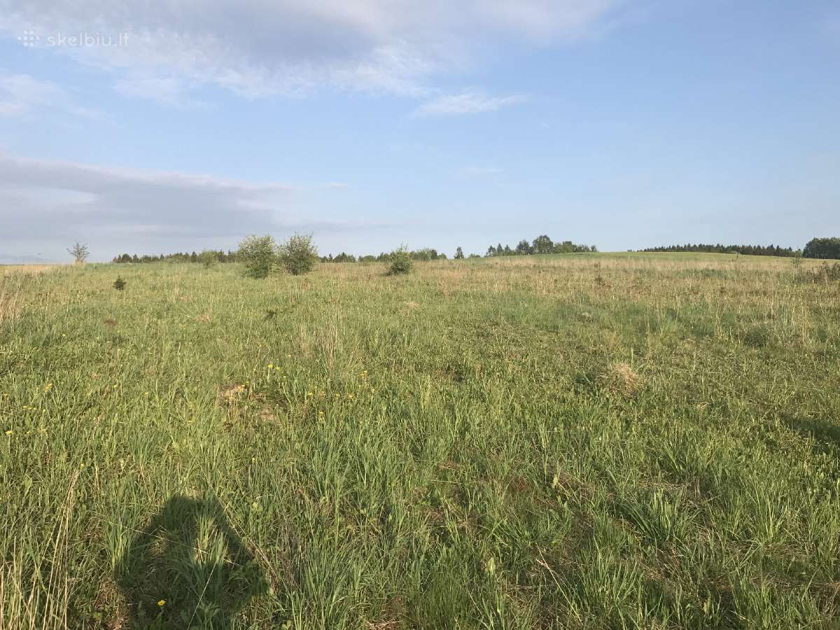 Žemės sklypas Pakerų km., Plungė - nuotraukos Nr. 5