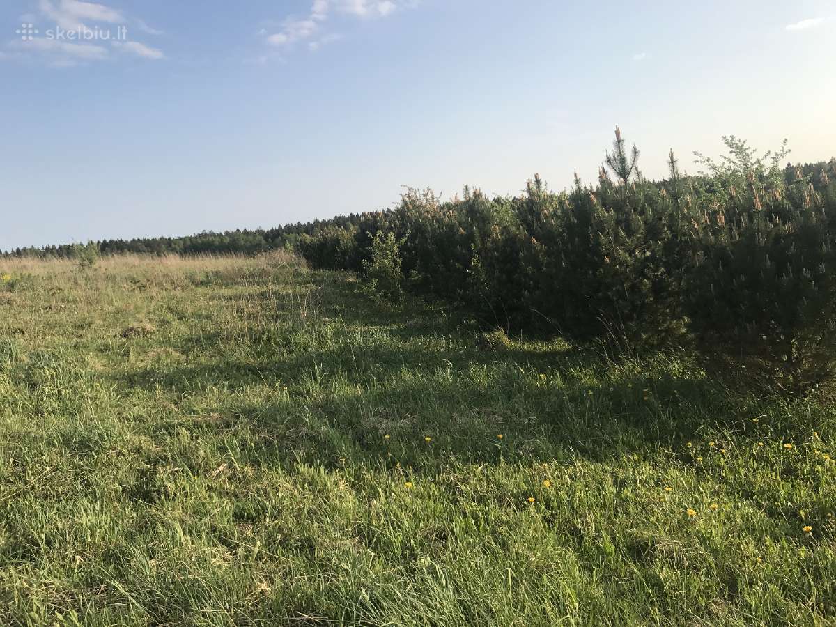 Žemės sklypas Pakerų km., Plungė - nuotraukos Nr. 6