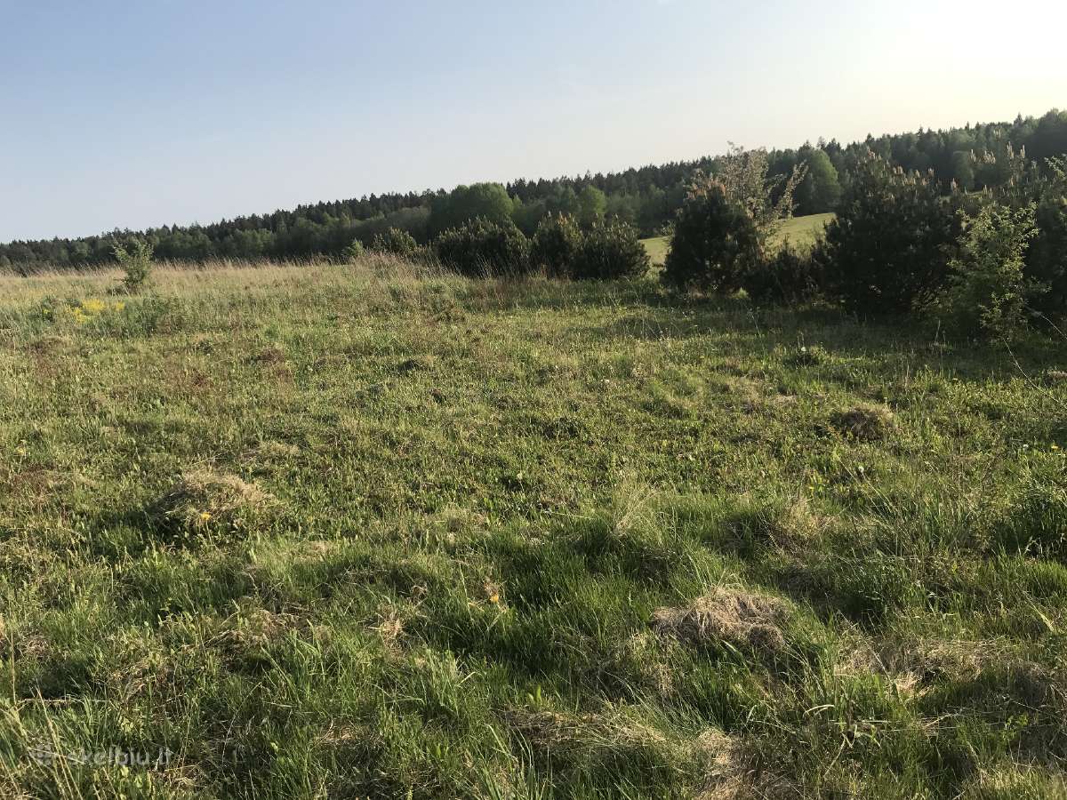 Žemės sklypas Pakerų km., Plungė - nuotraukos Nr. 7