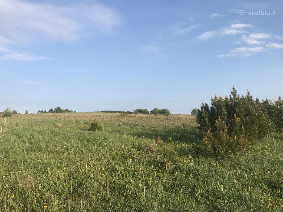 Žemės sklypas Pakerų km., Plungė - nuotraukos Nr. 8