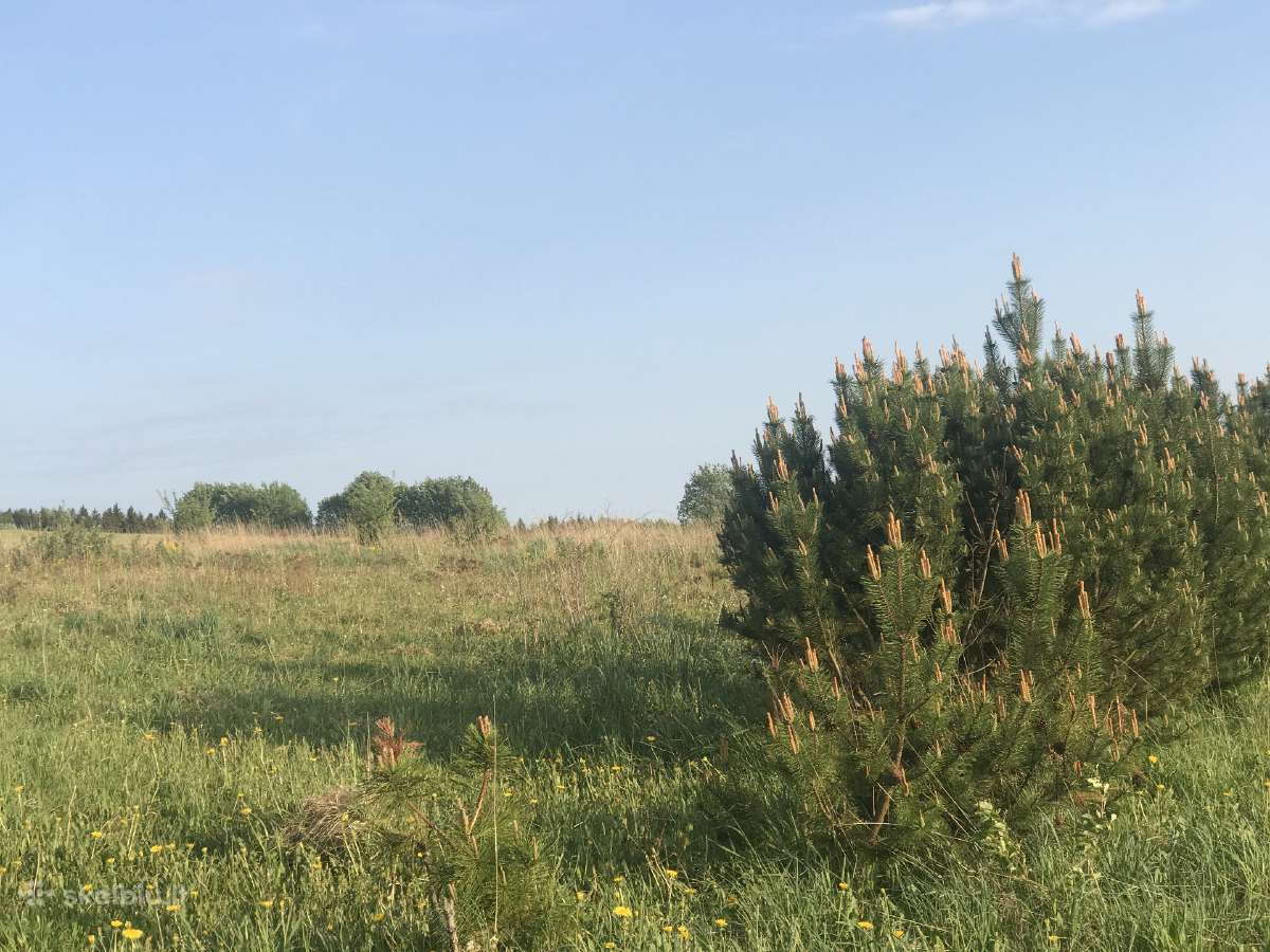 Žemės sklypas Pakerų km., Plungė - nuotraukos Nr. 9