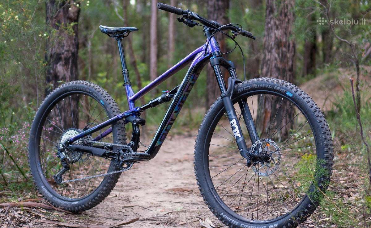 Perku MTB Gravel Plento Hibridinius Full ir kt. - nuotraukos Nr. 7