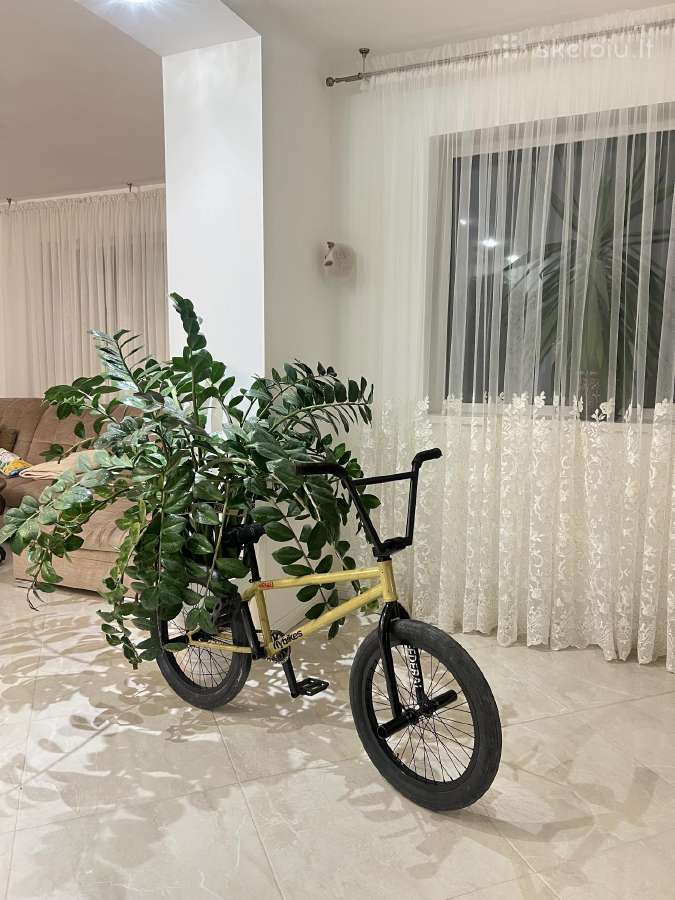 Custom BMX - nuotraukos Nr. 2
